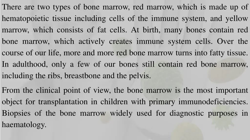 there are two types of bone marrow red marrow