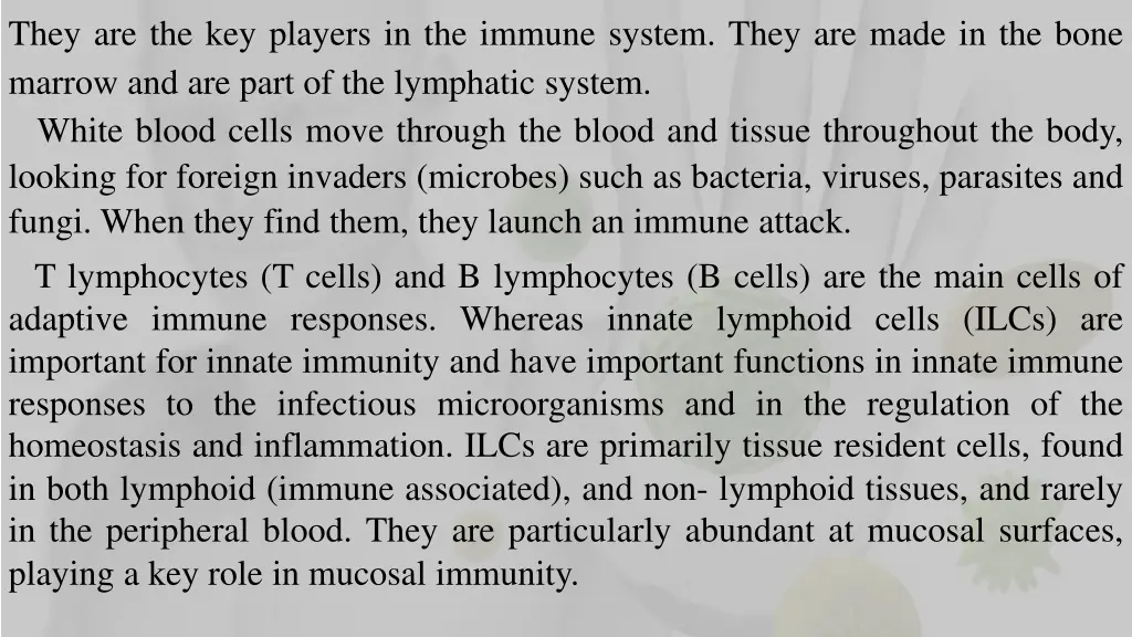 they are the key players in the immune system