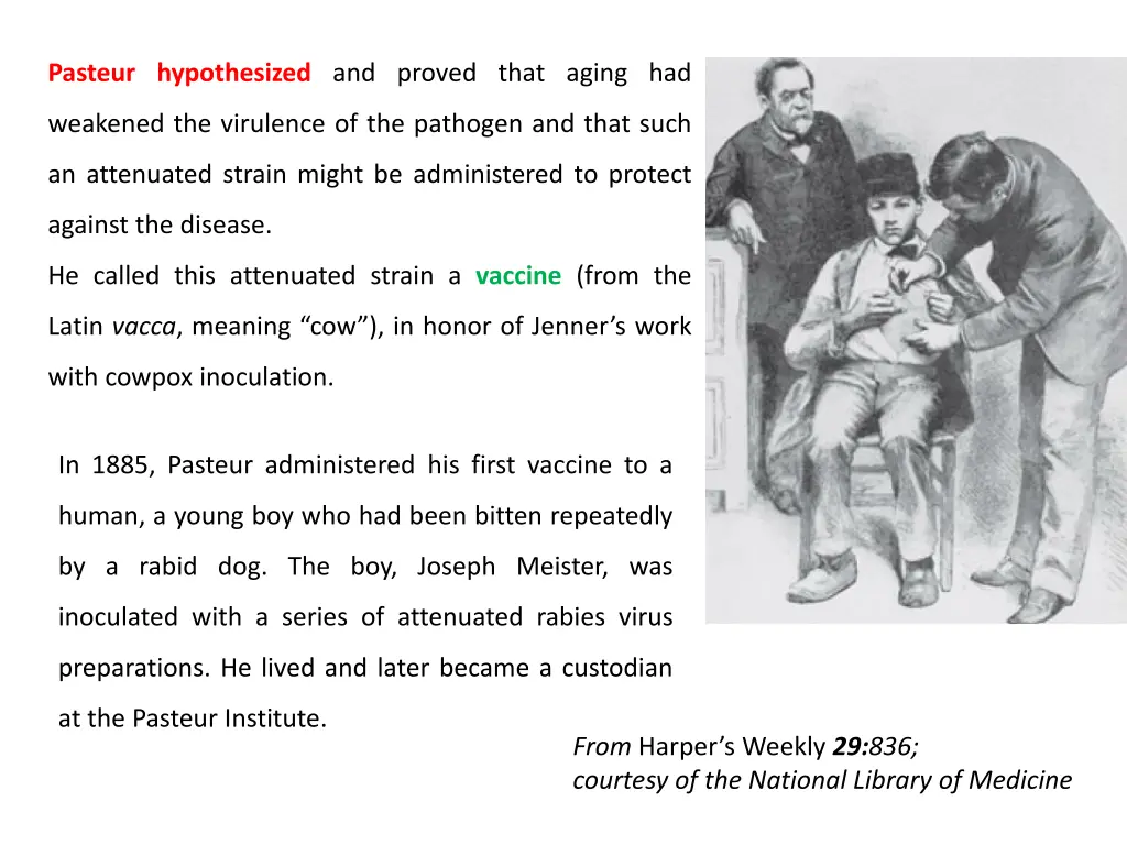 pasteur hypothesized and proved that aging had