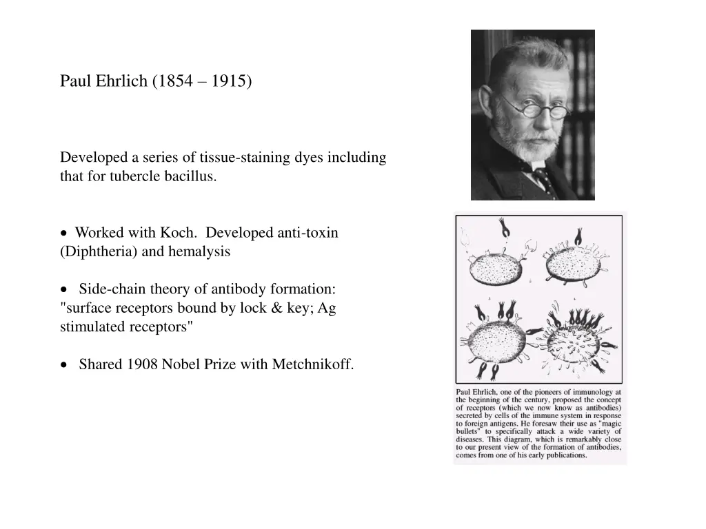 paul ehrlich 1854 1915