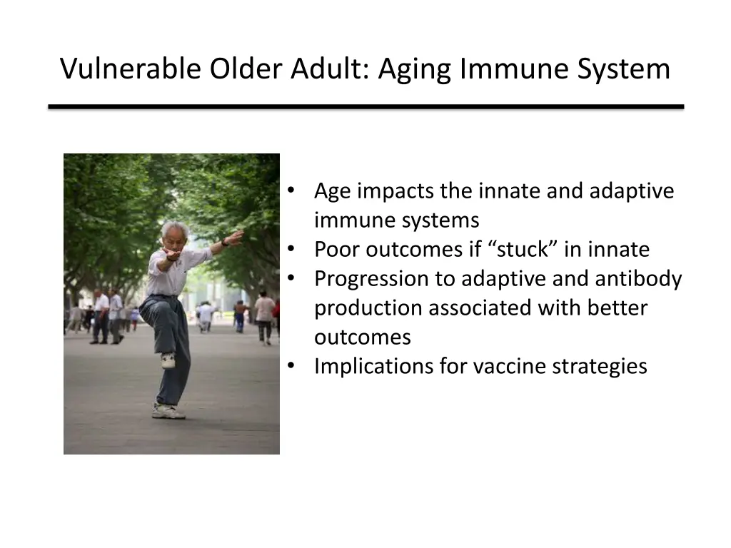 vulnerable older adult aging immune system