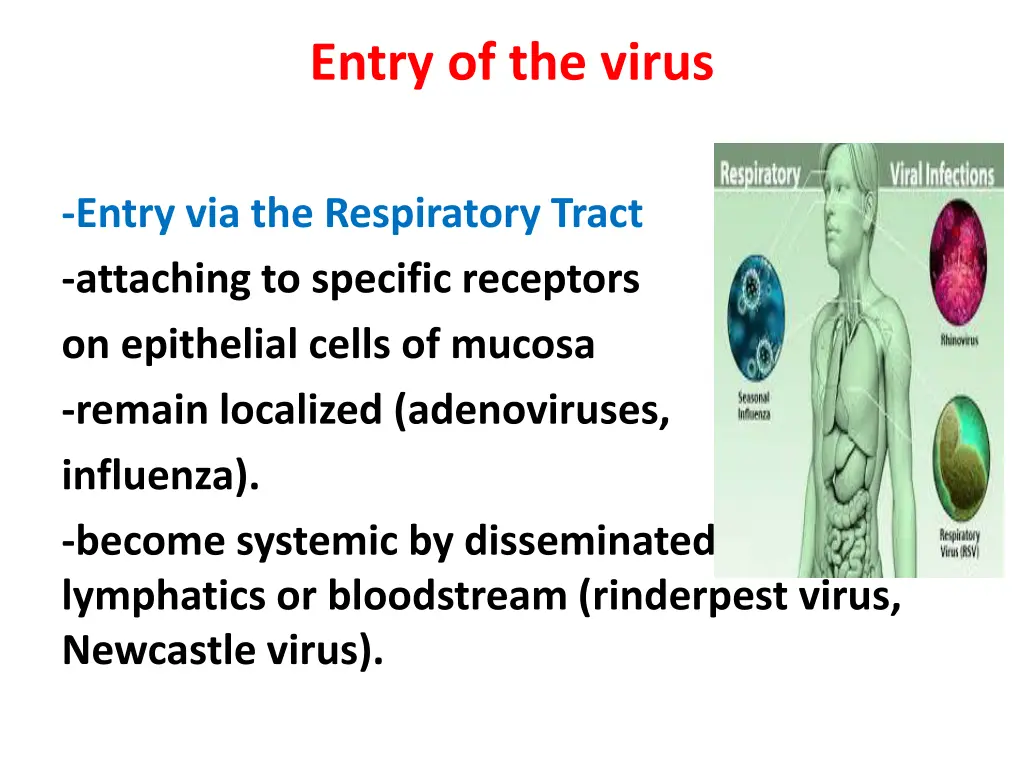 entry of the virus