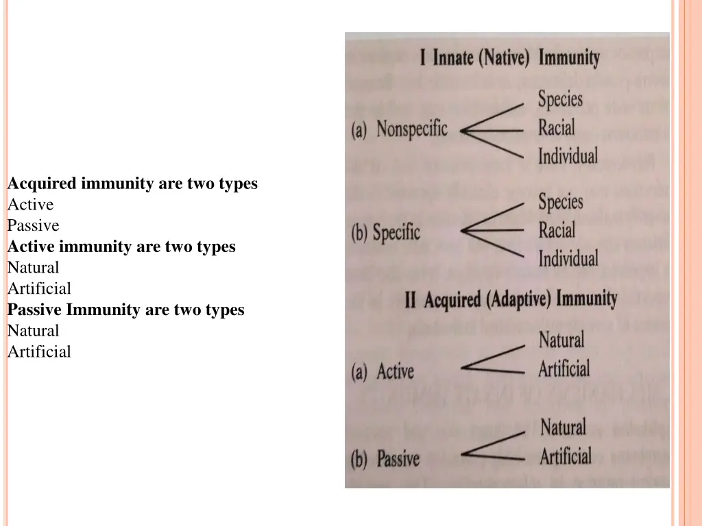 acquired immunity are two types active passive