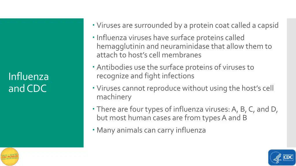 viruses are surrounded by a protein coat called