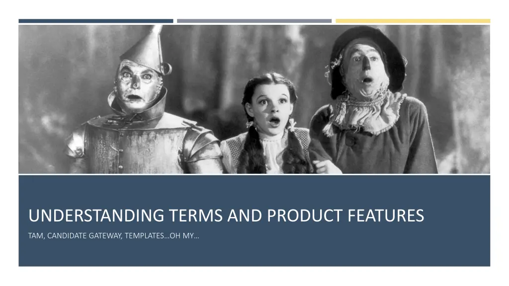 understanding terms and product features