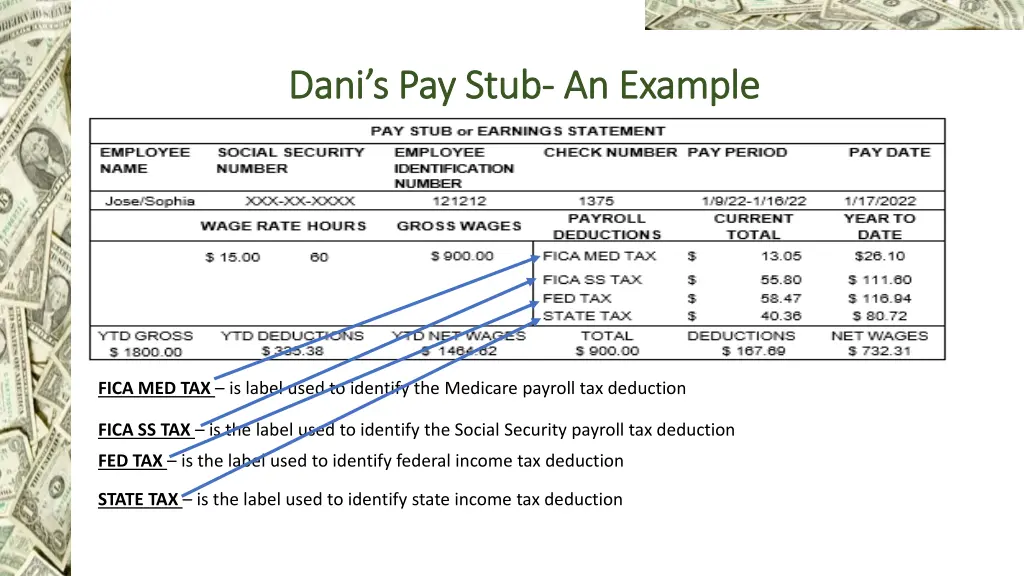 dani s pay stub dani s pay stub an example 2