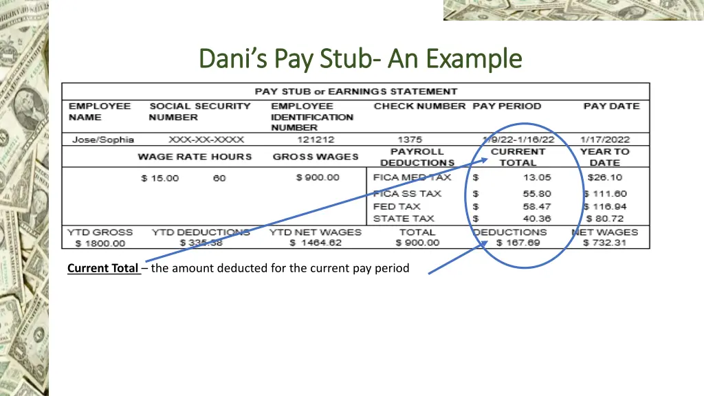 dani s pay stub dani s pay stub an example 3