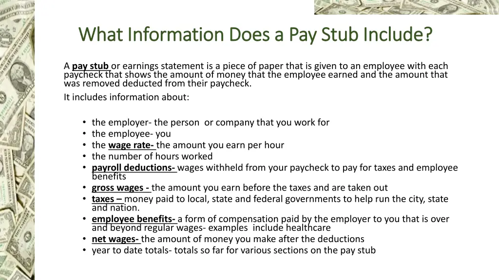 what information does a pay stub include what