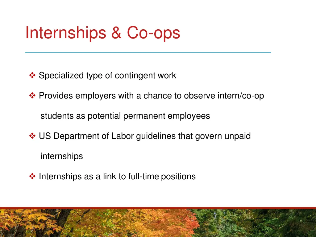 internships co ops