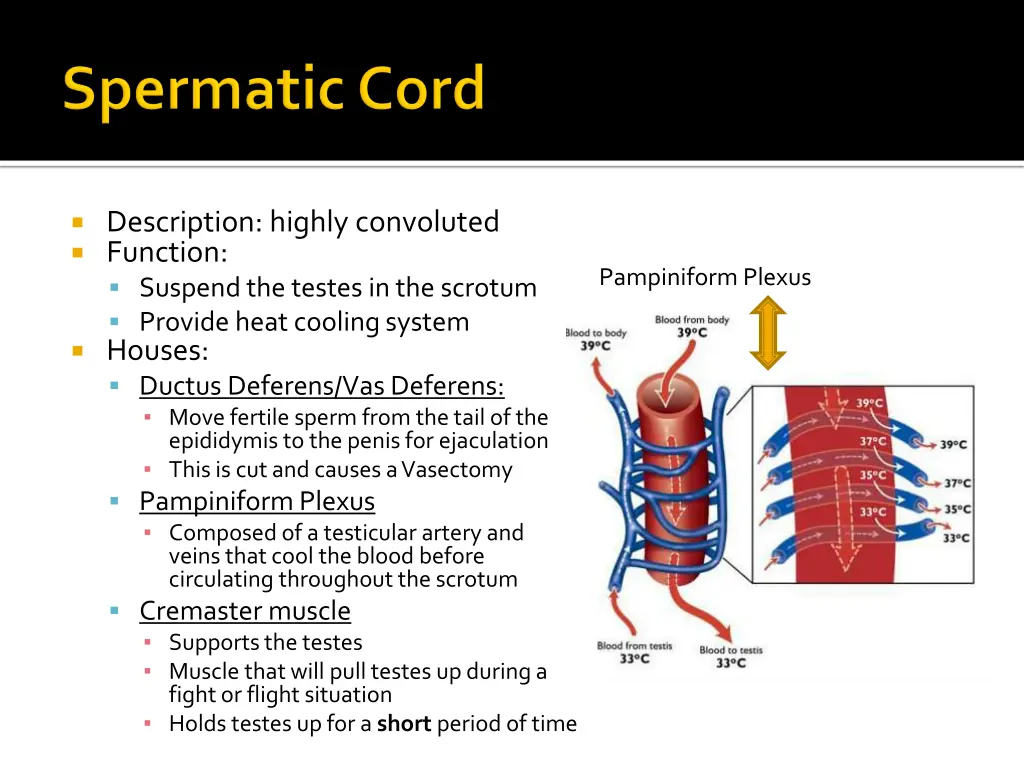 description highly convoluted function suspend