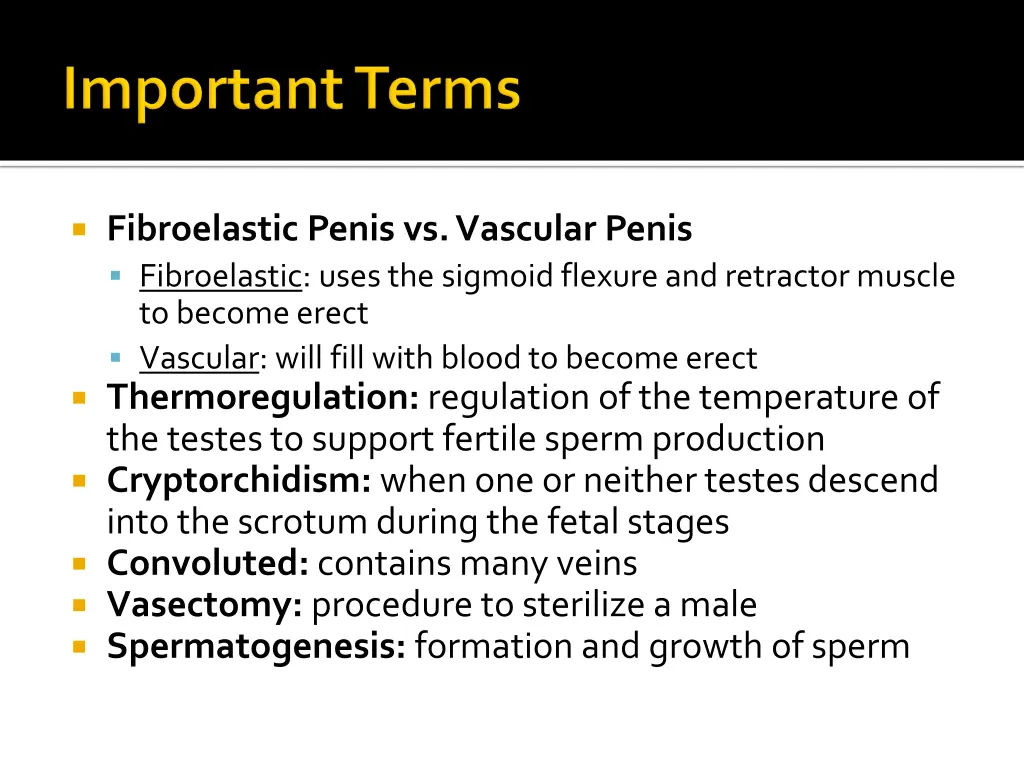 fibroelastic penis vs vascular penis fibroelastic