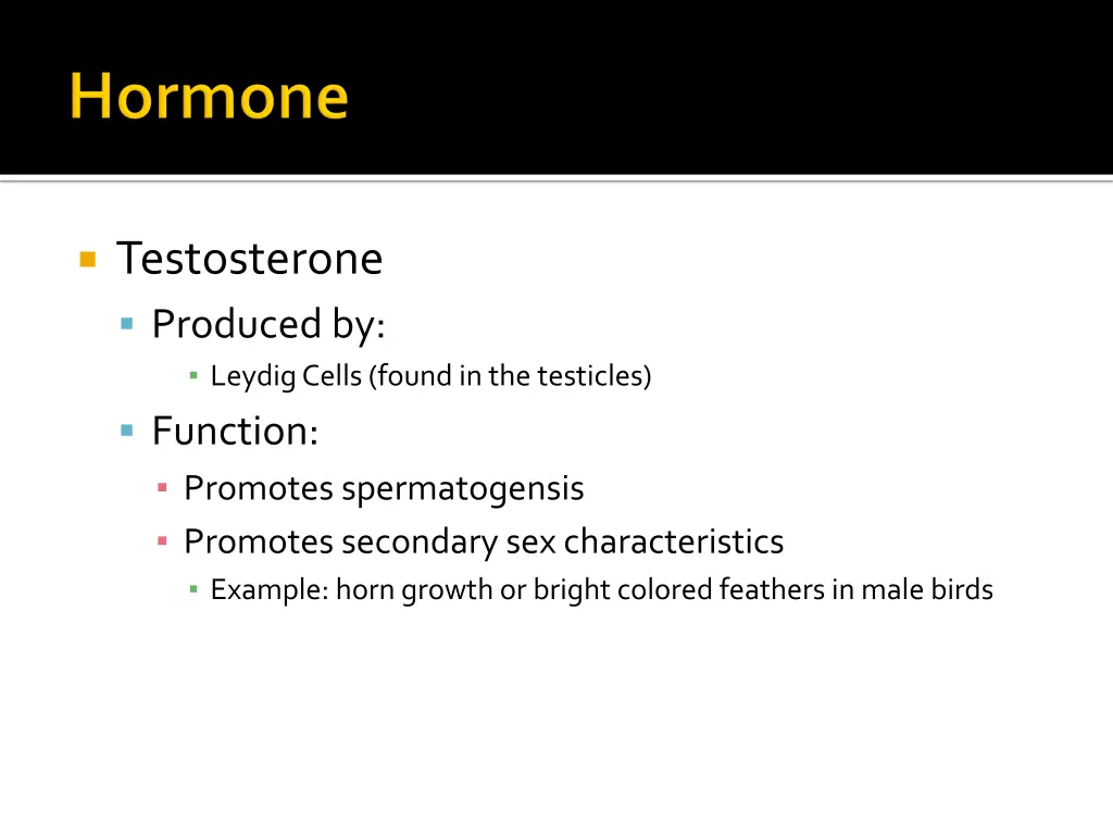 testosterone produced by leydig cells found