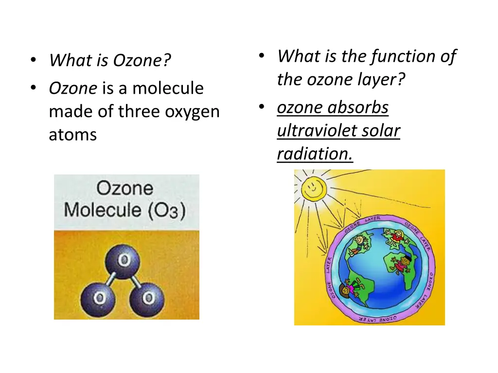 what is the function of the ozone layer ozone