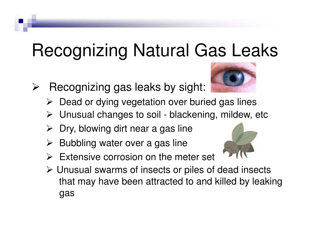 recognizing natural gas leaks 1