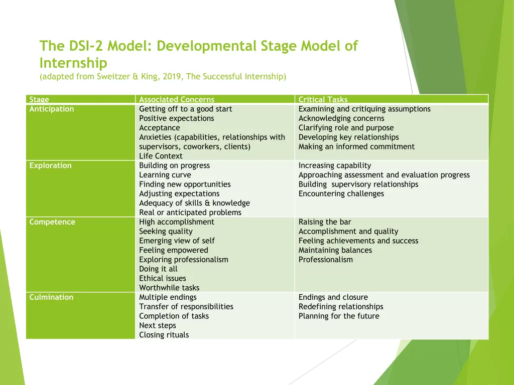 the dsi 2 model developmental stage model