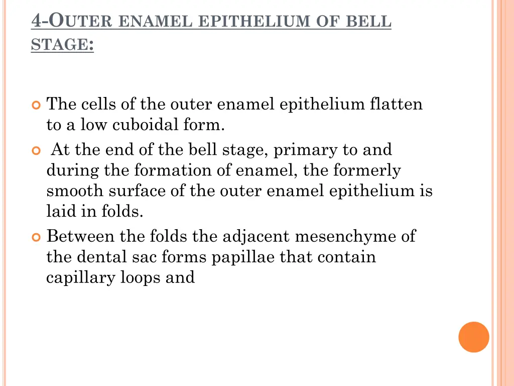 4 o uter enamel epithelium of bell stage