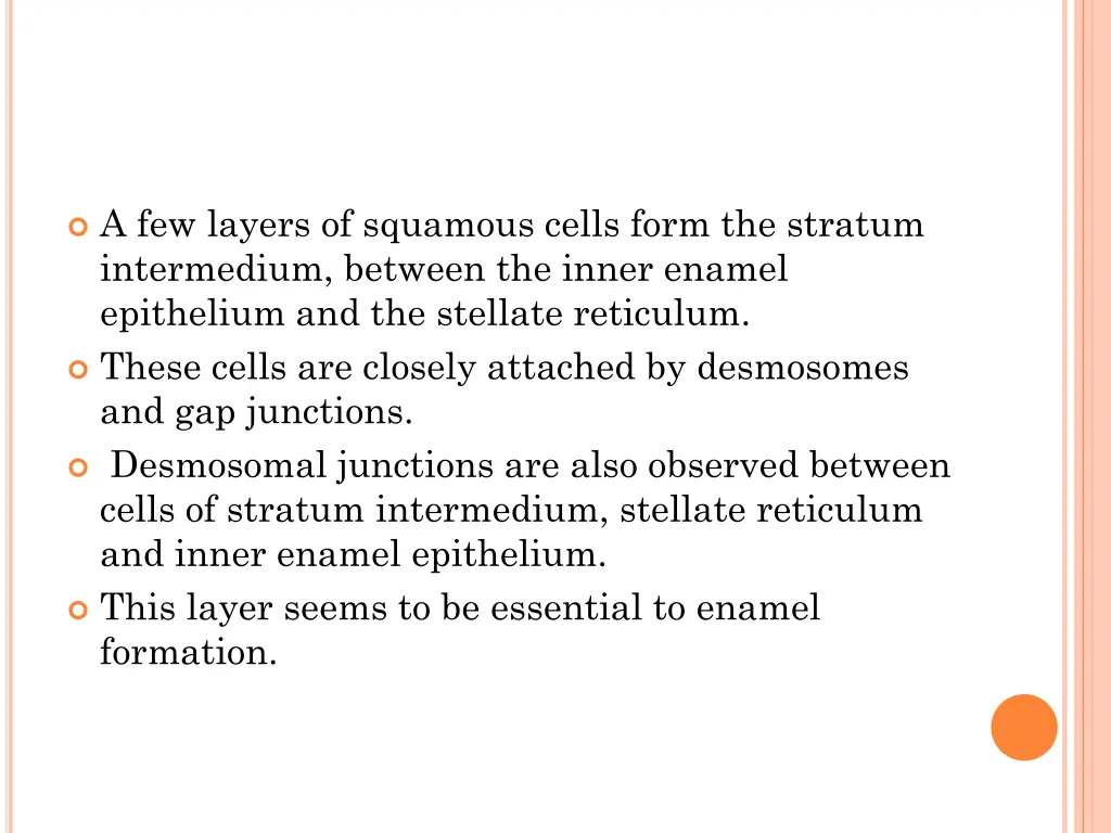 a few layers of squamous cells form the stratum