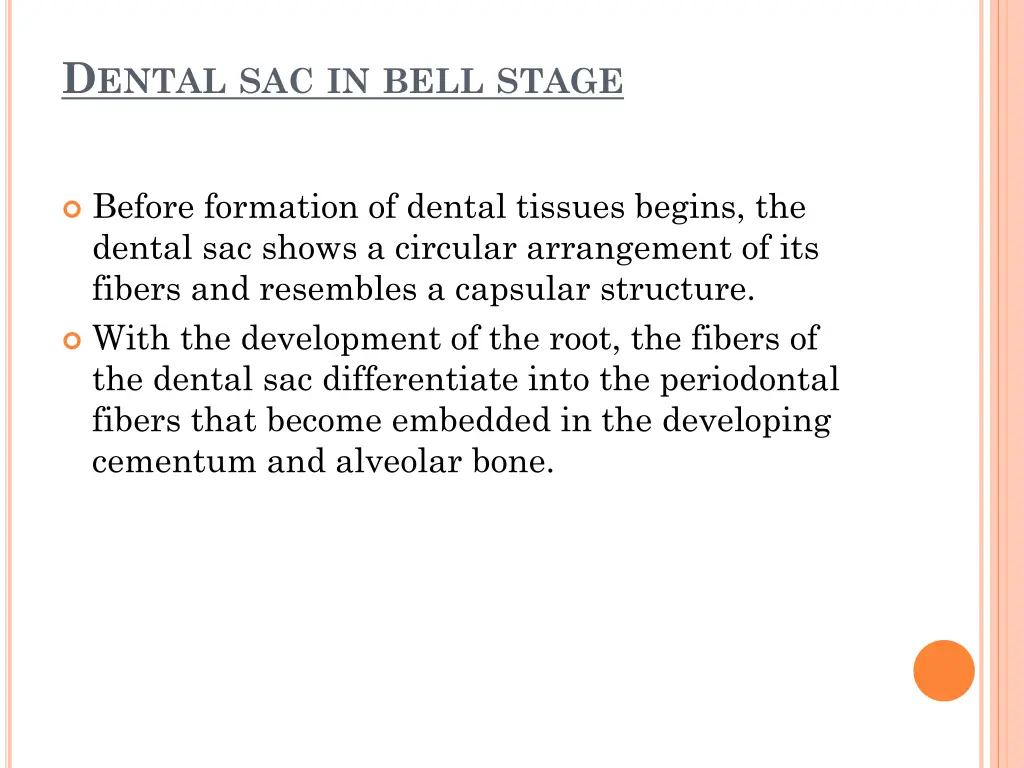 d ental sac in bell stage