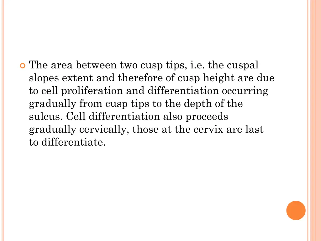 the area between two cusp tips i e the cuspal