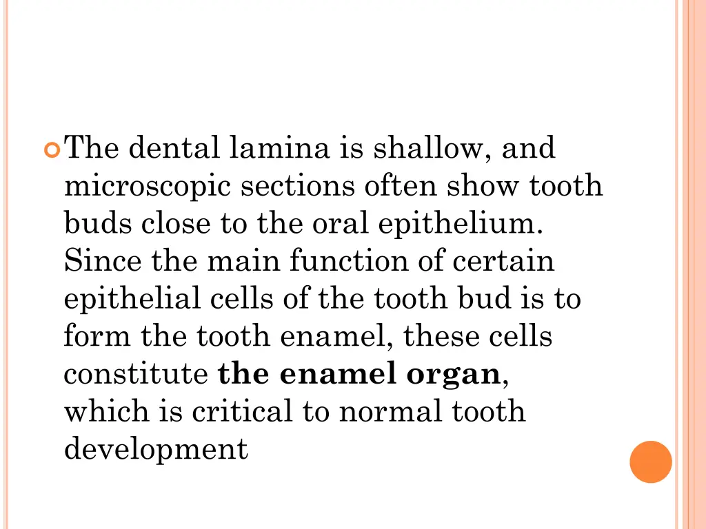 the dental lamina is shallow and microscopic