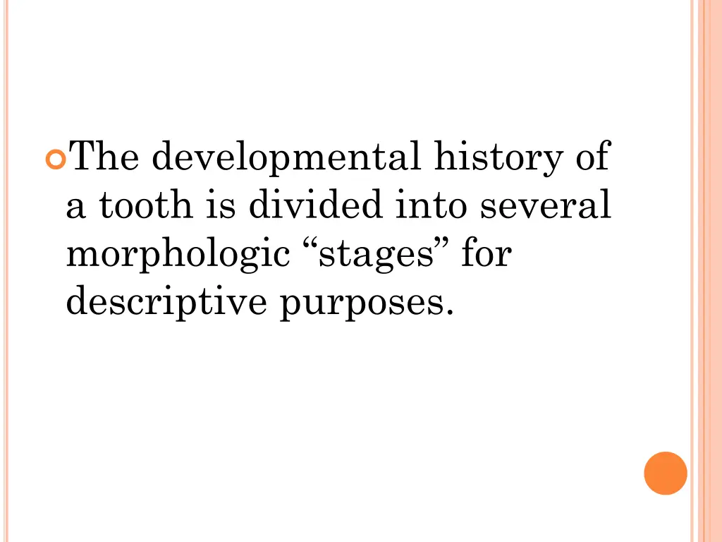 the developmental history of a tooth is divided