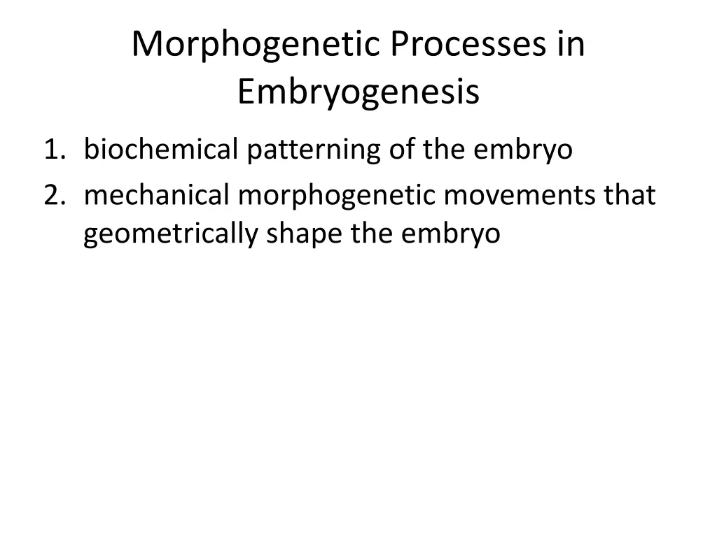 morphogenetic processes in embryogenesis