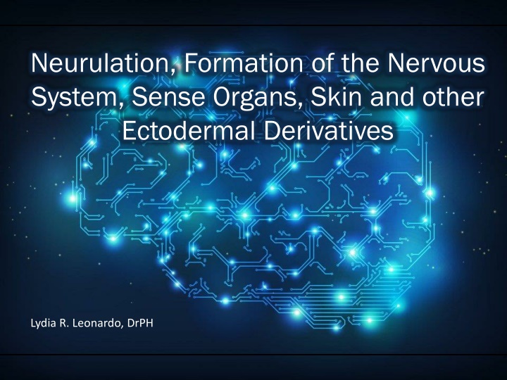 neurulation formation of the nervous system sense