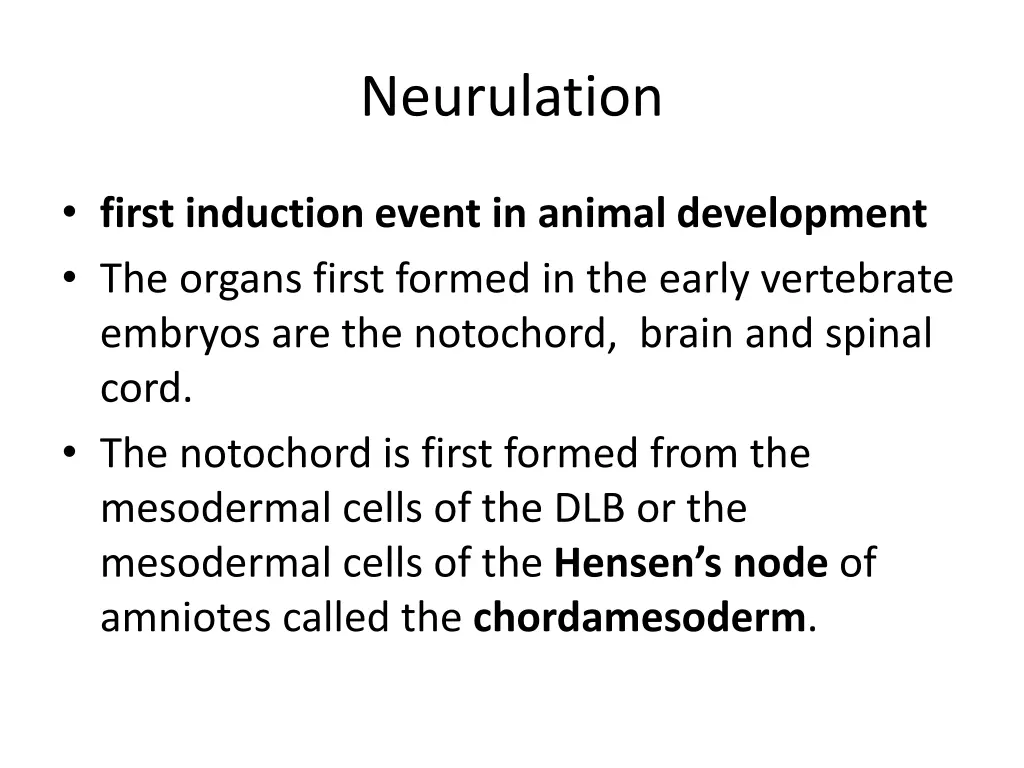 neurulation