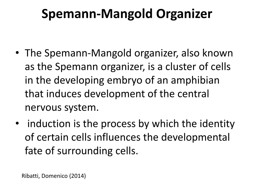 spemann mangold organizer