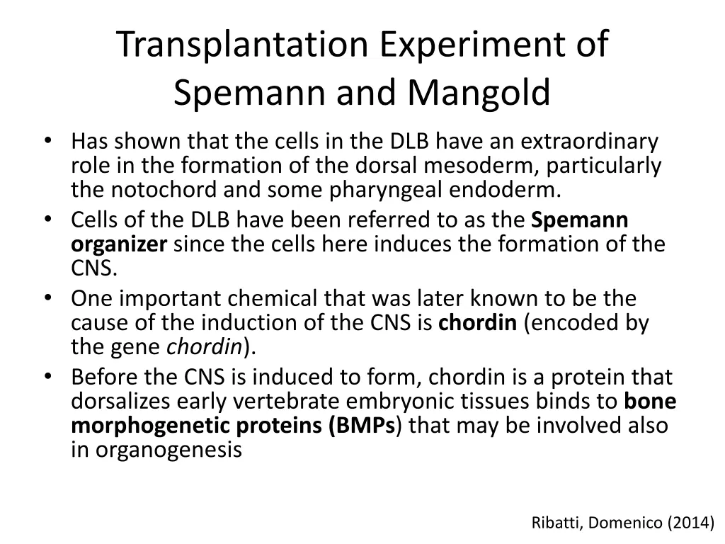 transplantation experiment of spemann and mangold