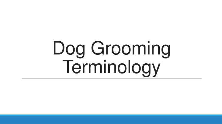 dog grooming terminology