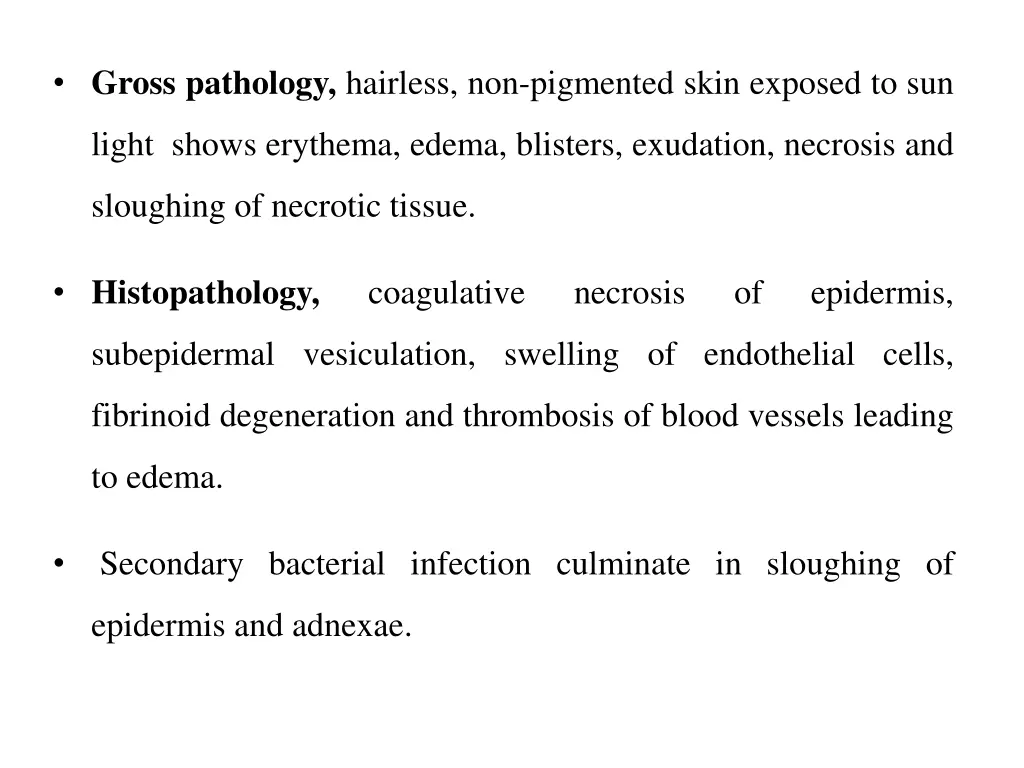 gross pathology hairless non pigmented skin