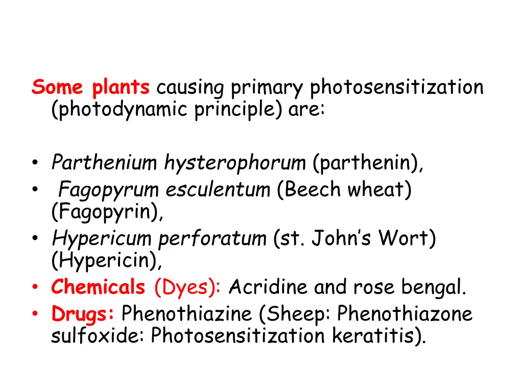 some plants causing primary photosensitization