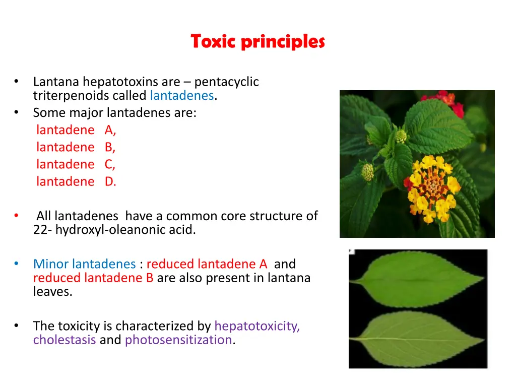 toxic principles