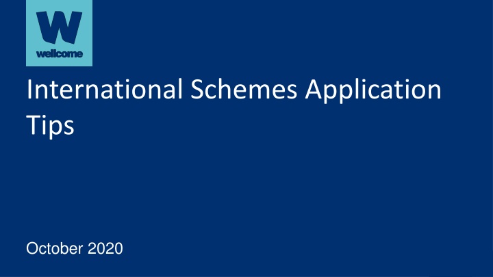 international schemes application tips