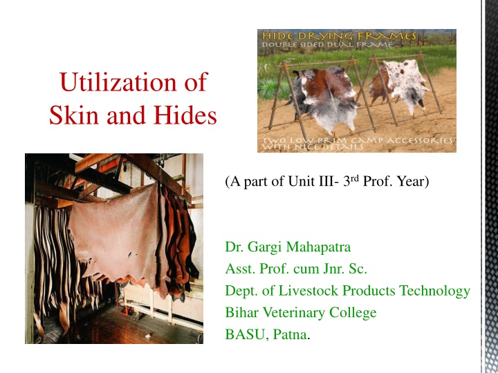 utilization of skin and hides