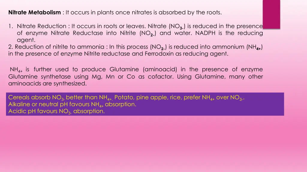 nitrate metabolism it occurs in plants once