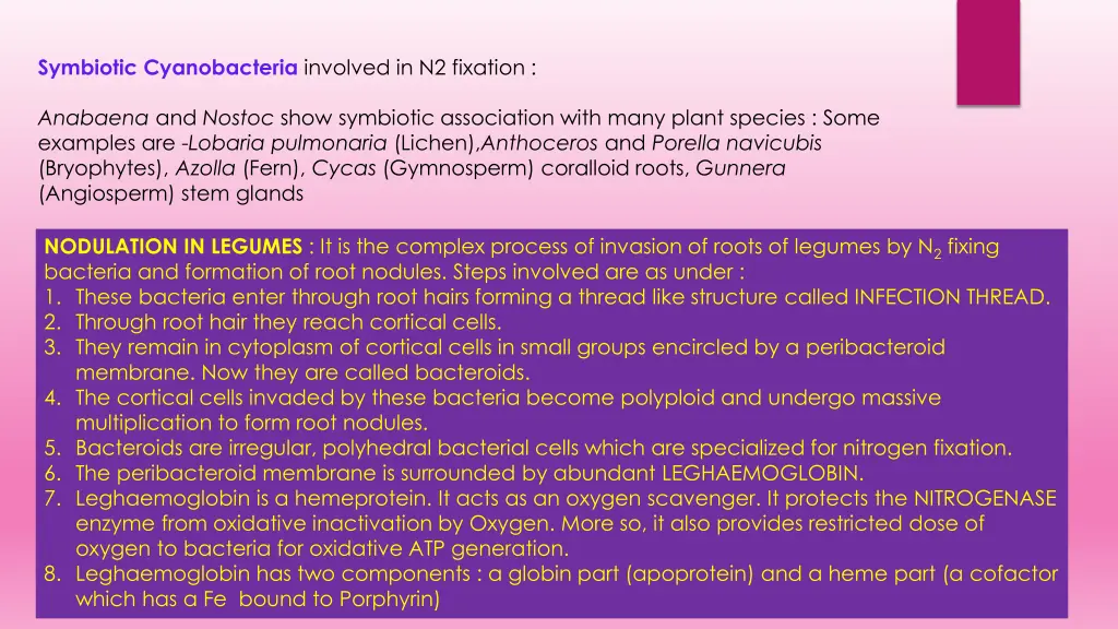 symbiotic cyanobacteria involved in n2 fixation