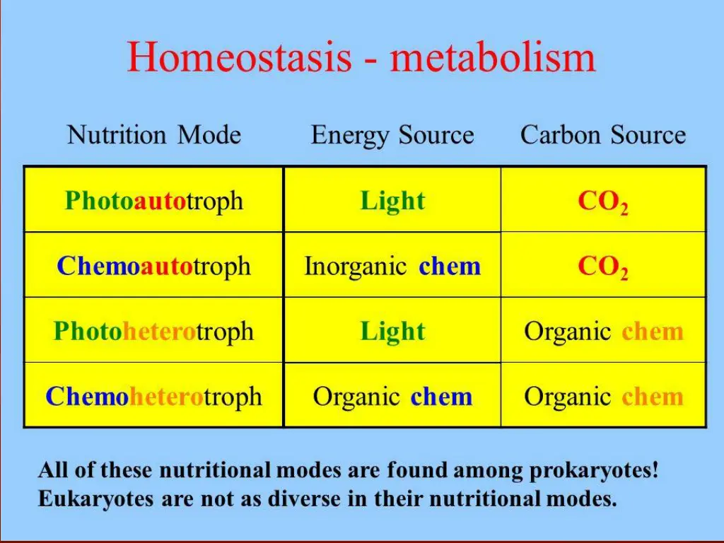 slide18