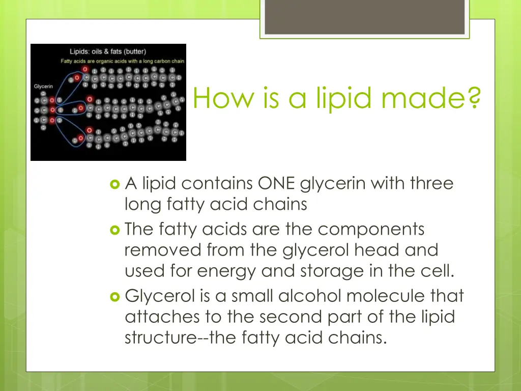 how is a lipid made