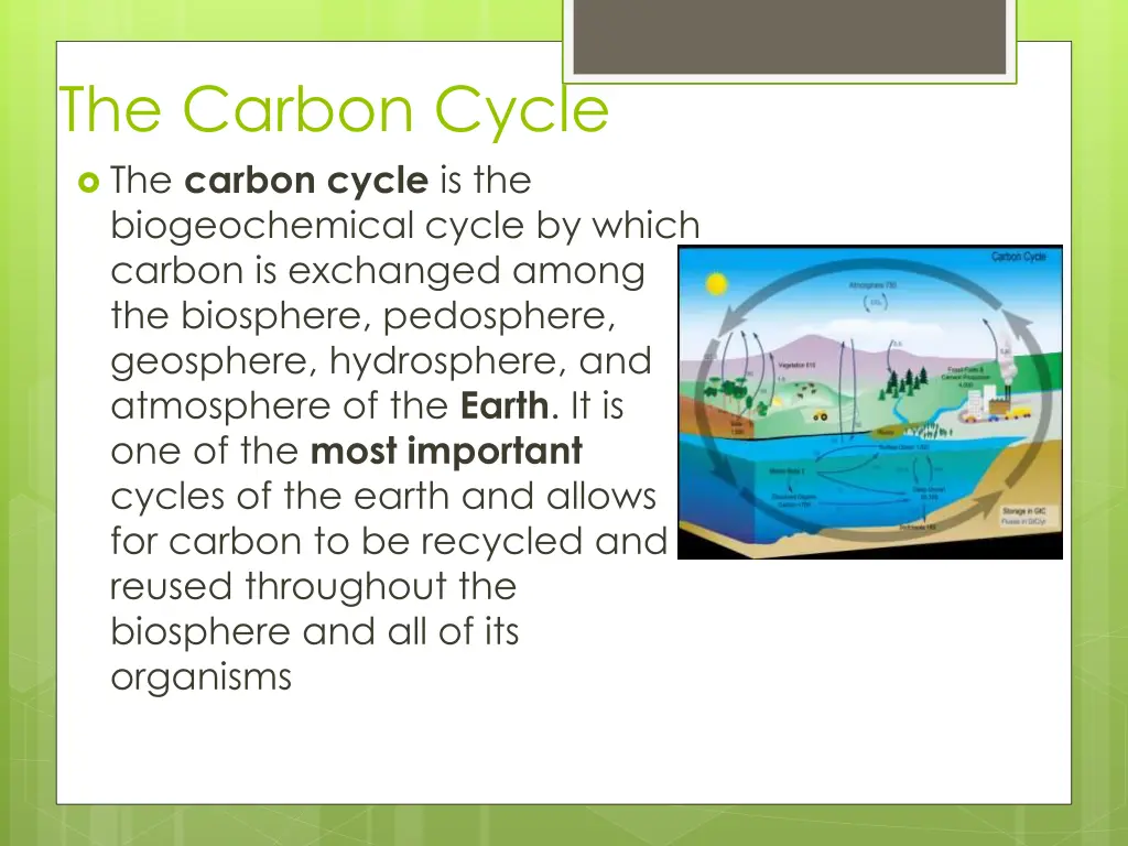 the carbon cycle the carbon cycle