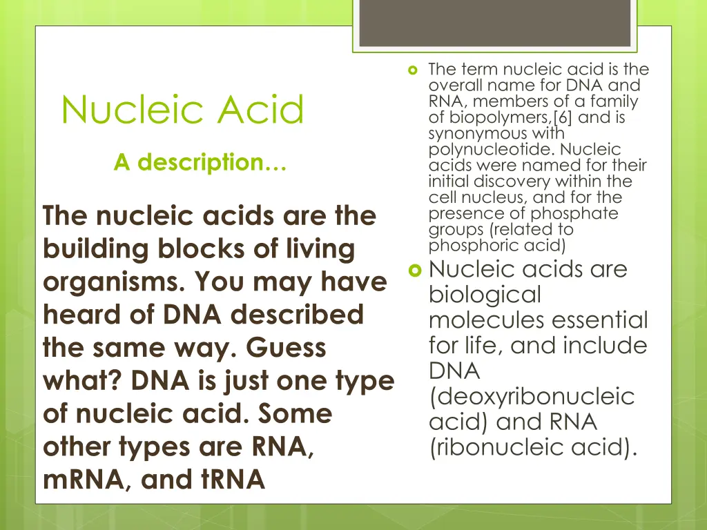 the term nucleic acid is the overall name