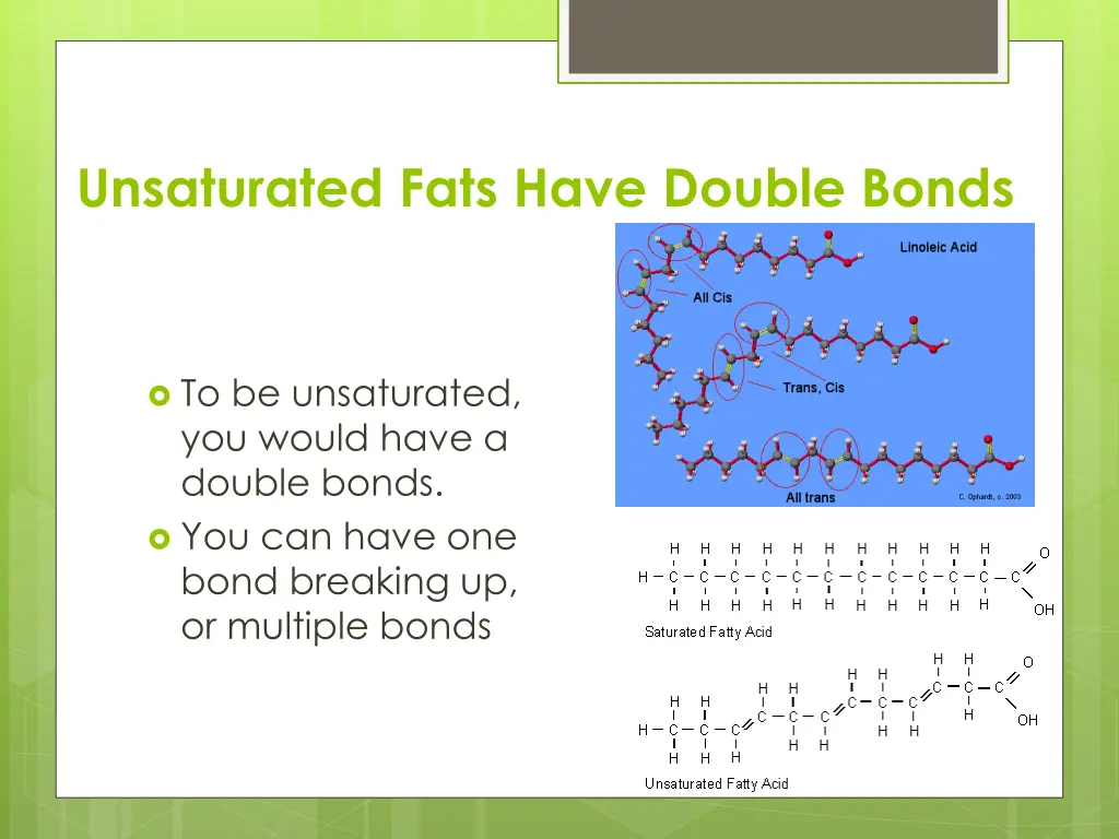 unsaturated fats have double bonds