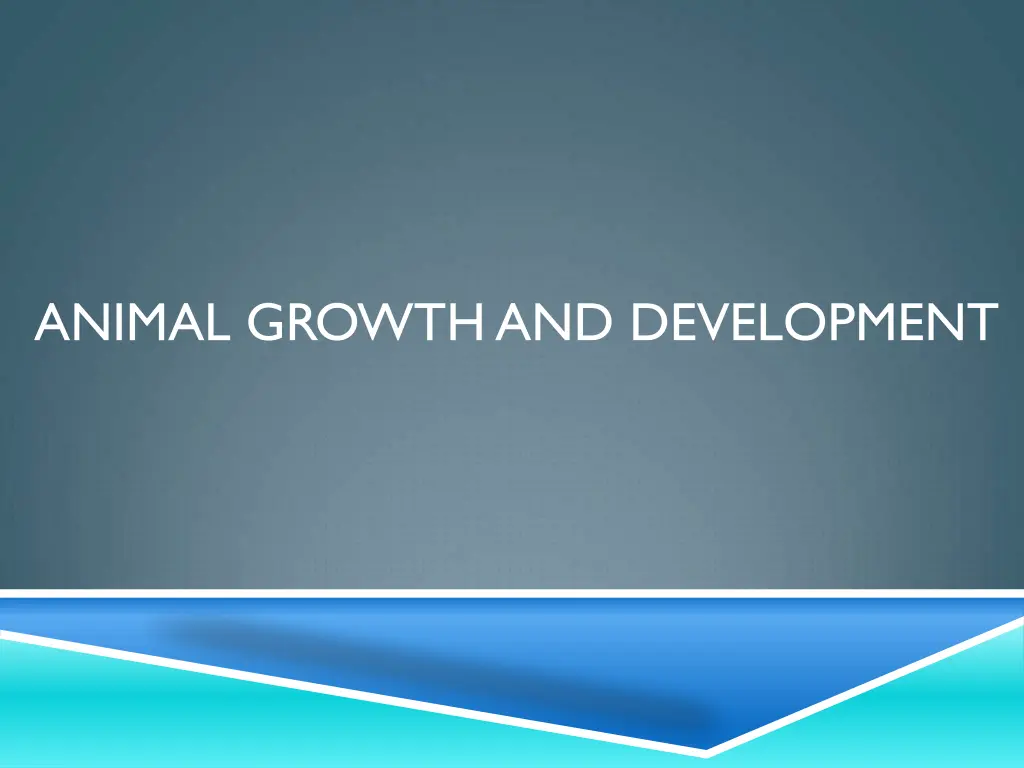 animal growth and development