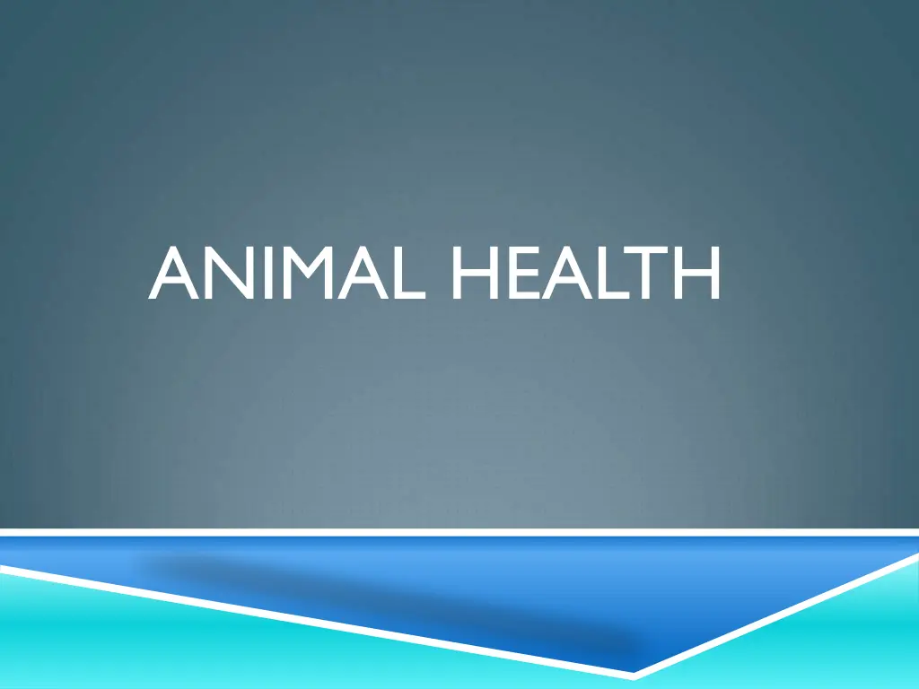 animal health