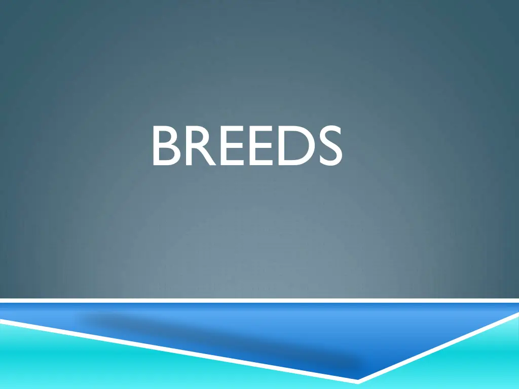 breeds