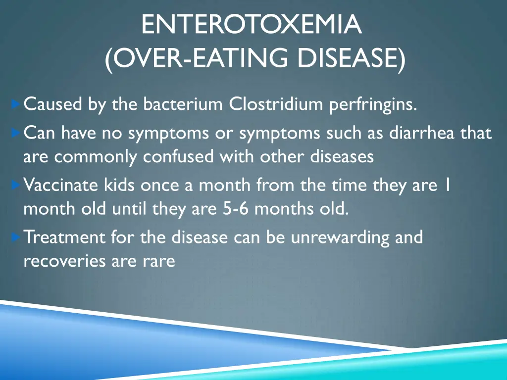 enterotoxemia over eating disease