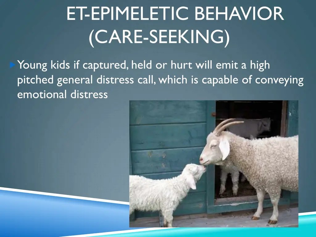 et epimeletic behavior care seeking