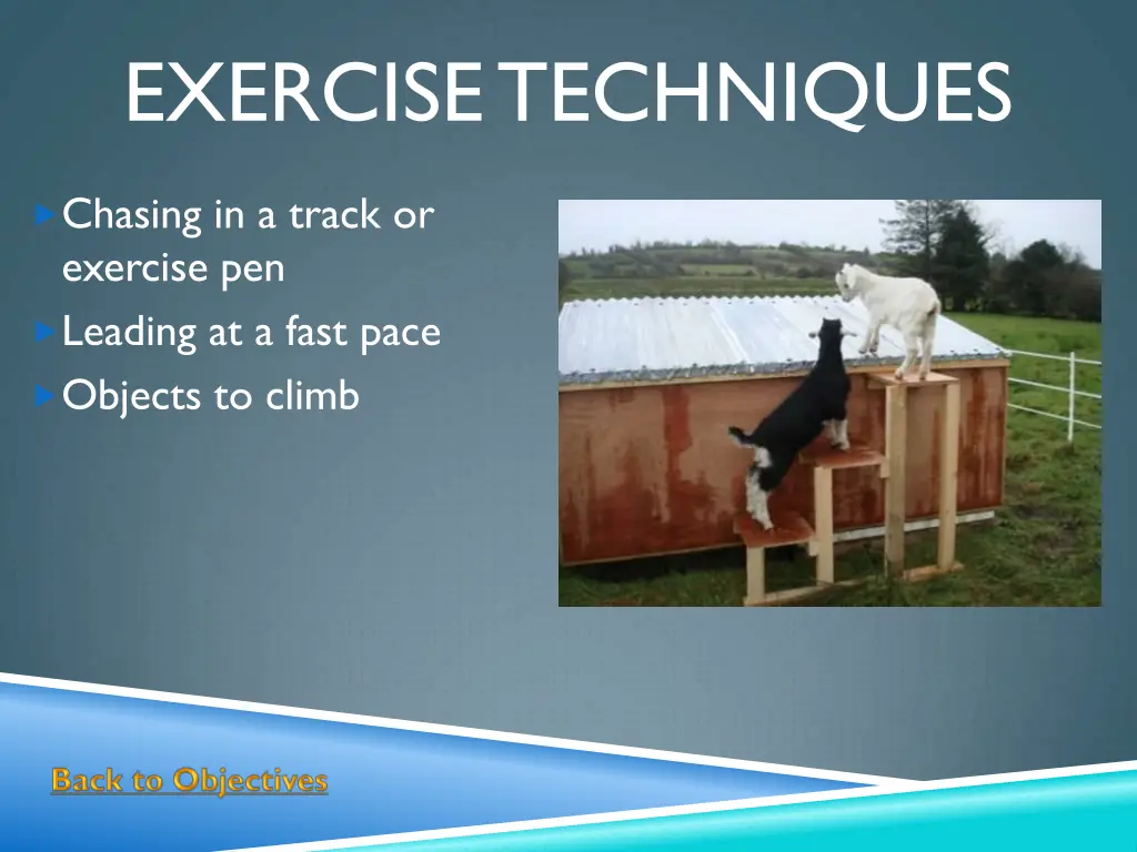 exercise techniques