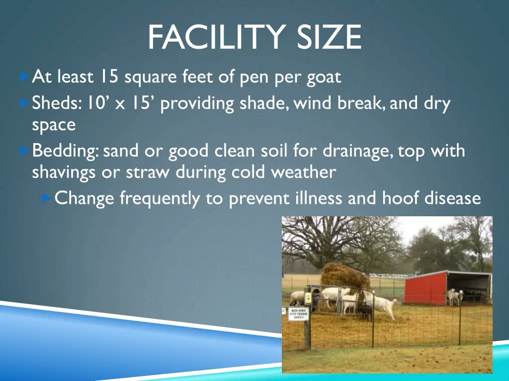 facility size